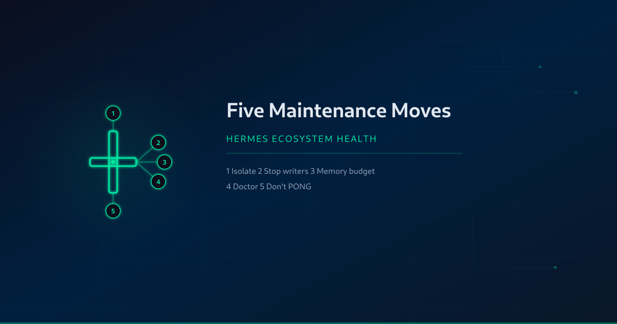 Five things that keep a Hermes ecosystem healthy