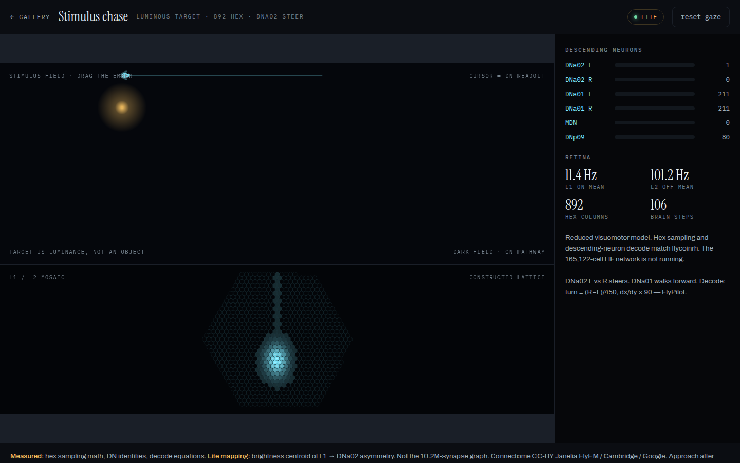 Stimulus chase: luminous ember, 892-hex L1/L2 mosaic, DNa02/DNa01 gauges in lite mode