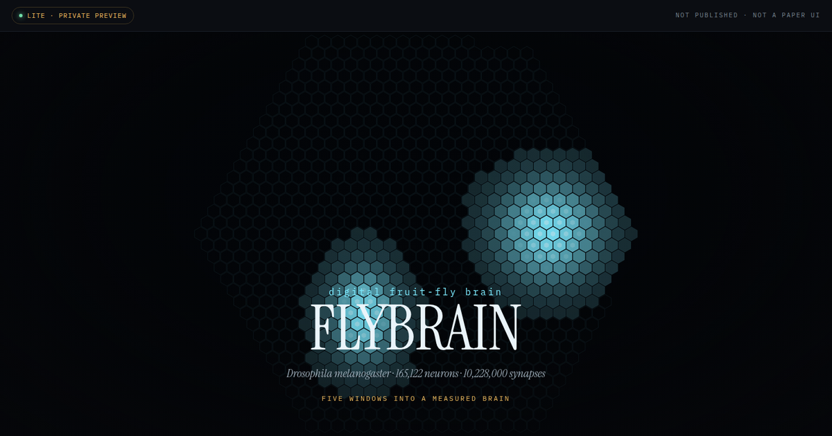 Five Windows Into a Measured Brain: Interactive Demos of a Digital Drosophila